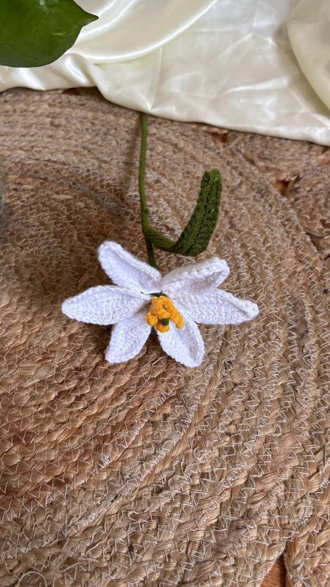 Small lily