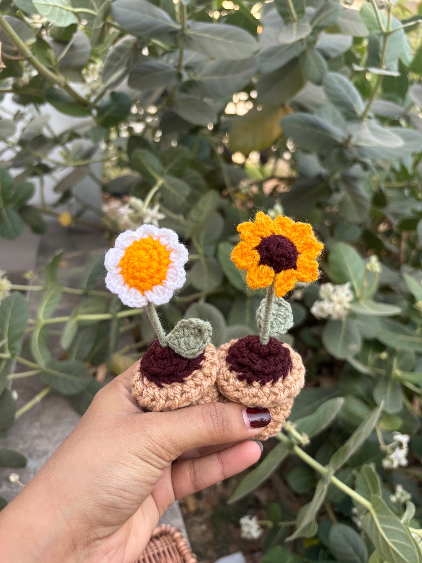 Set of 2 minis