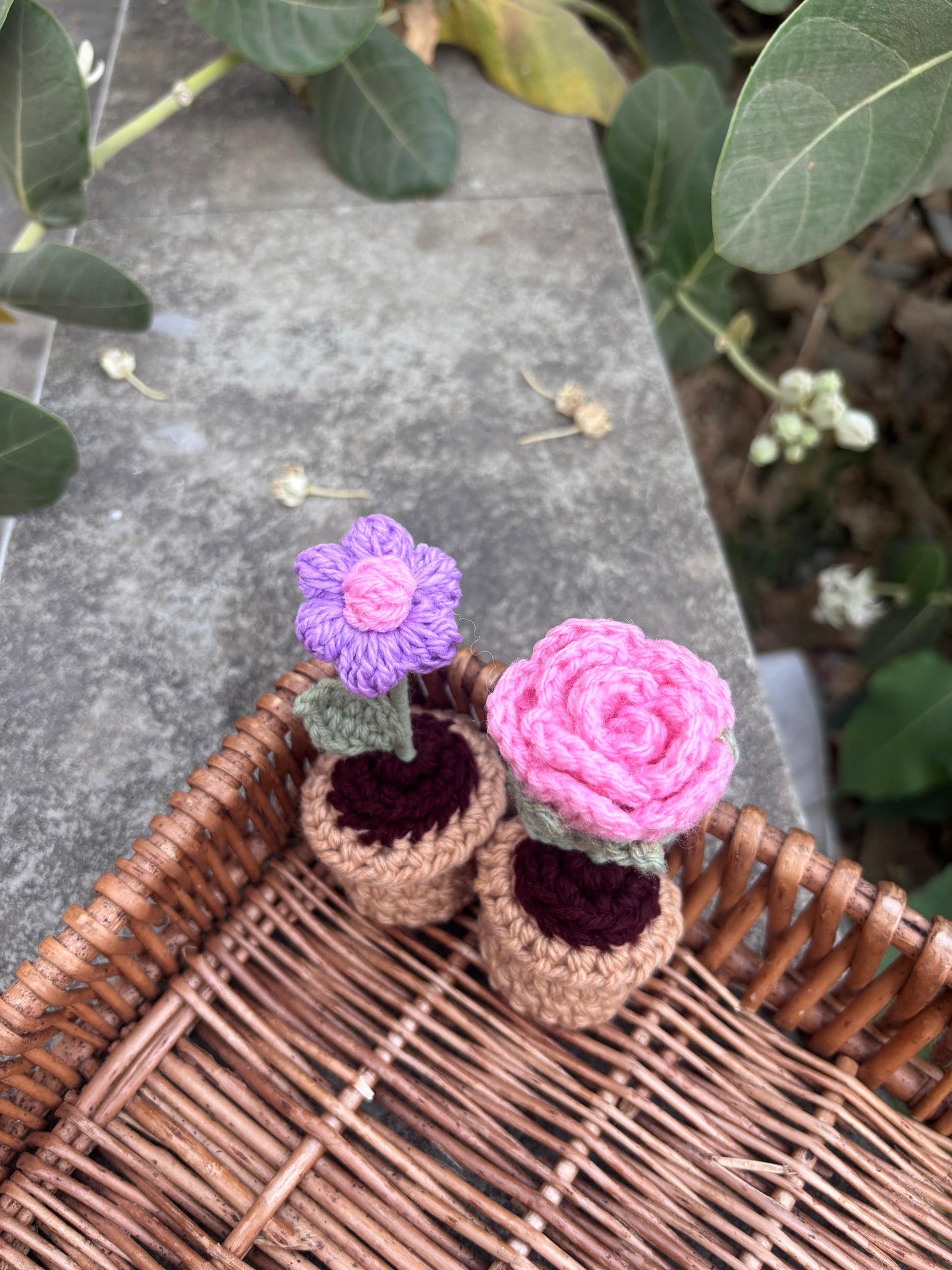 Set of 2 minis