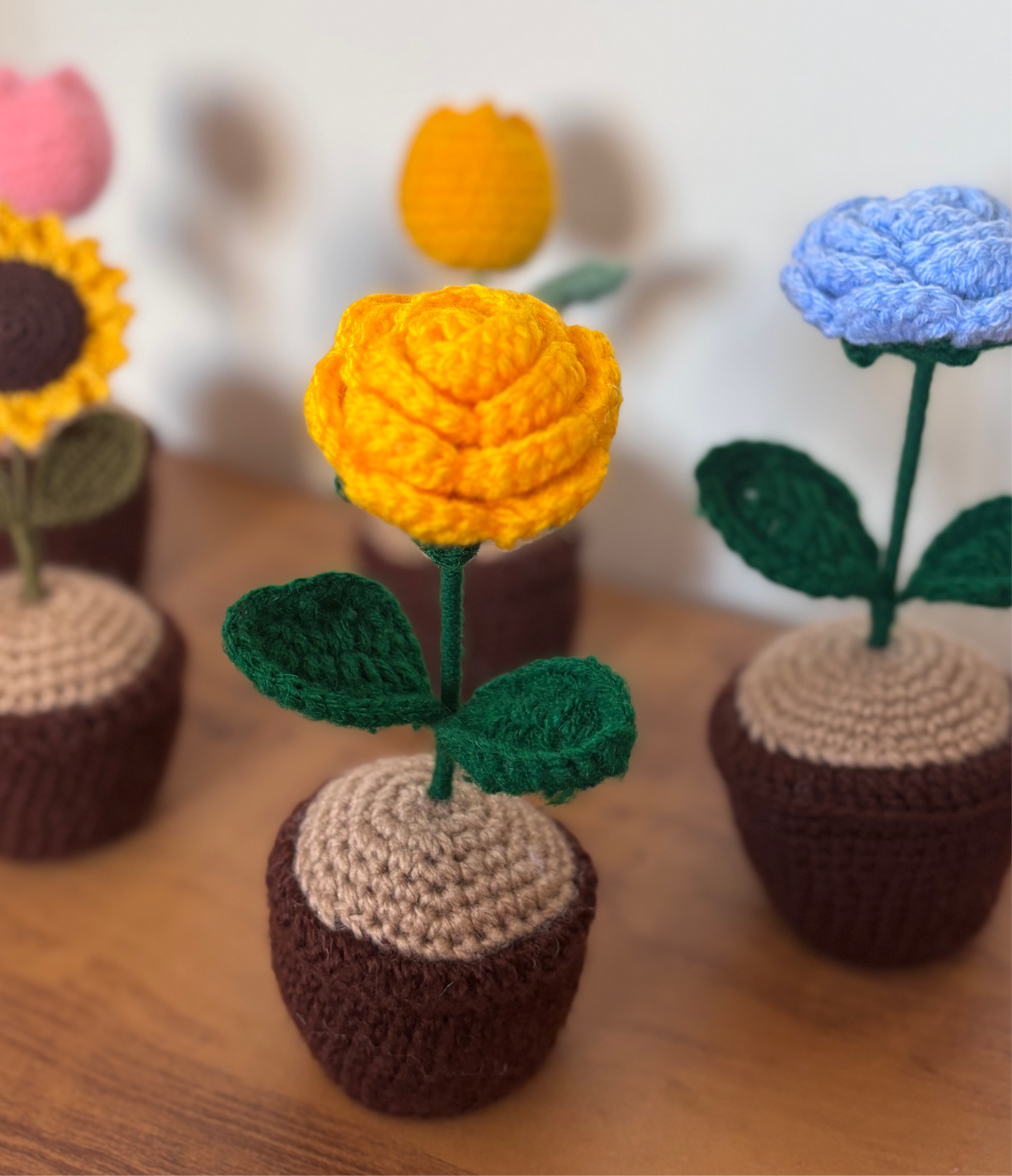 Rose Pot