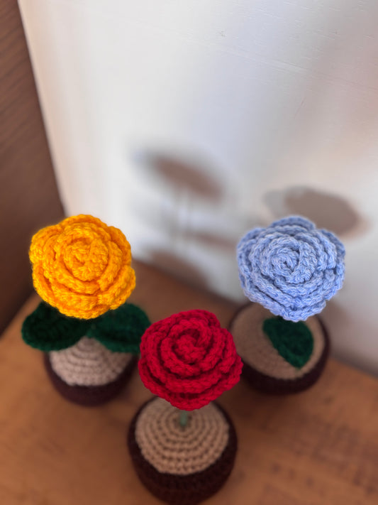 Rose Pot