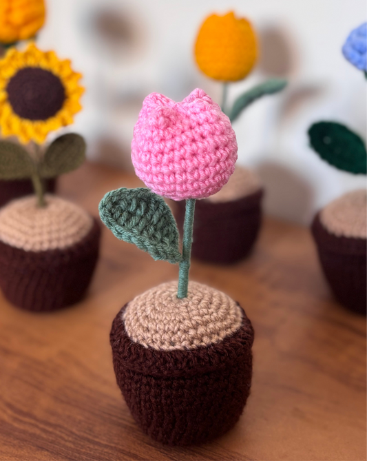 Tulip pot