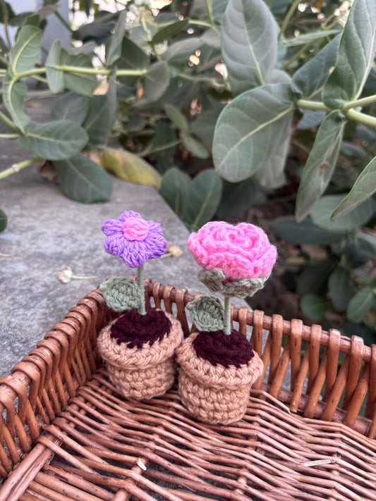 Set of 2 minis