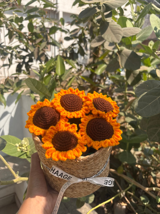 Sun and shiny basket