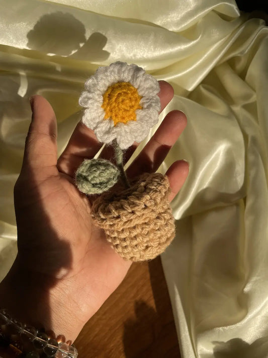 Set of 2 mini pots