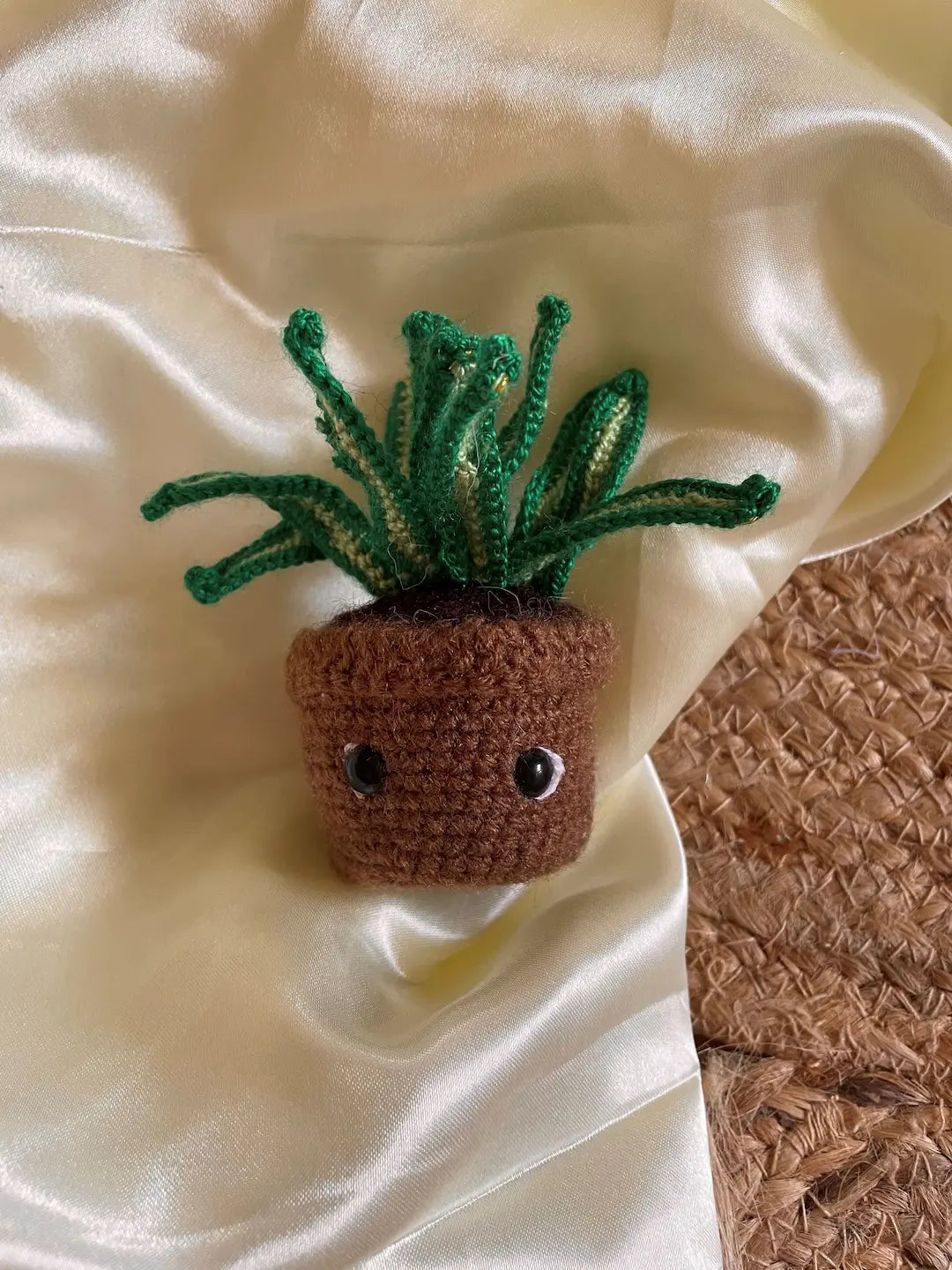 Succulent set
