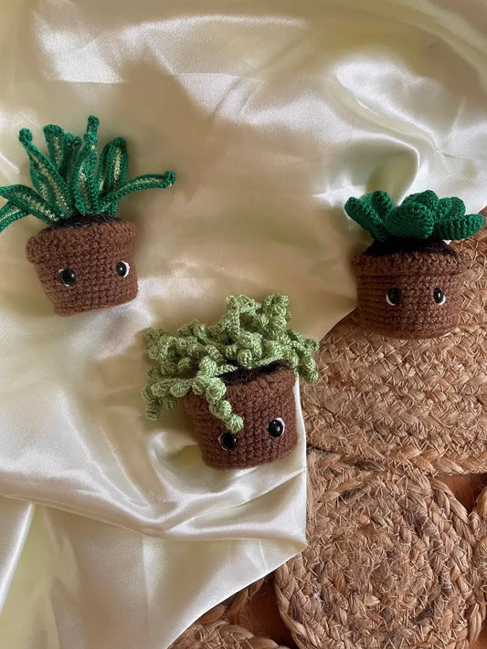 Succulent set
