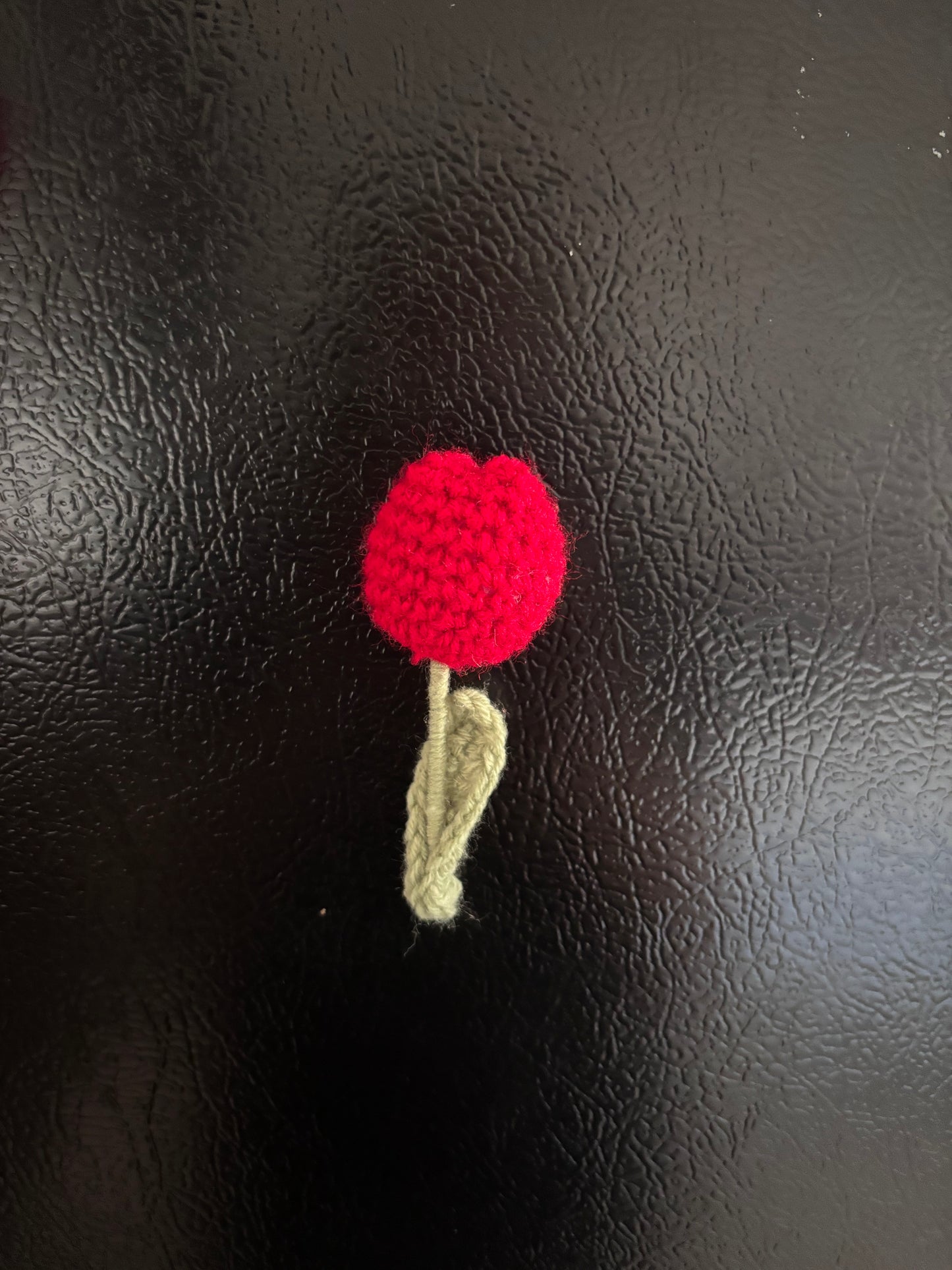 Fridge Magnets