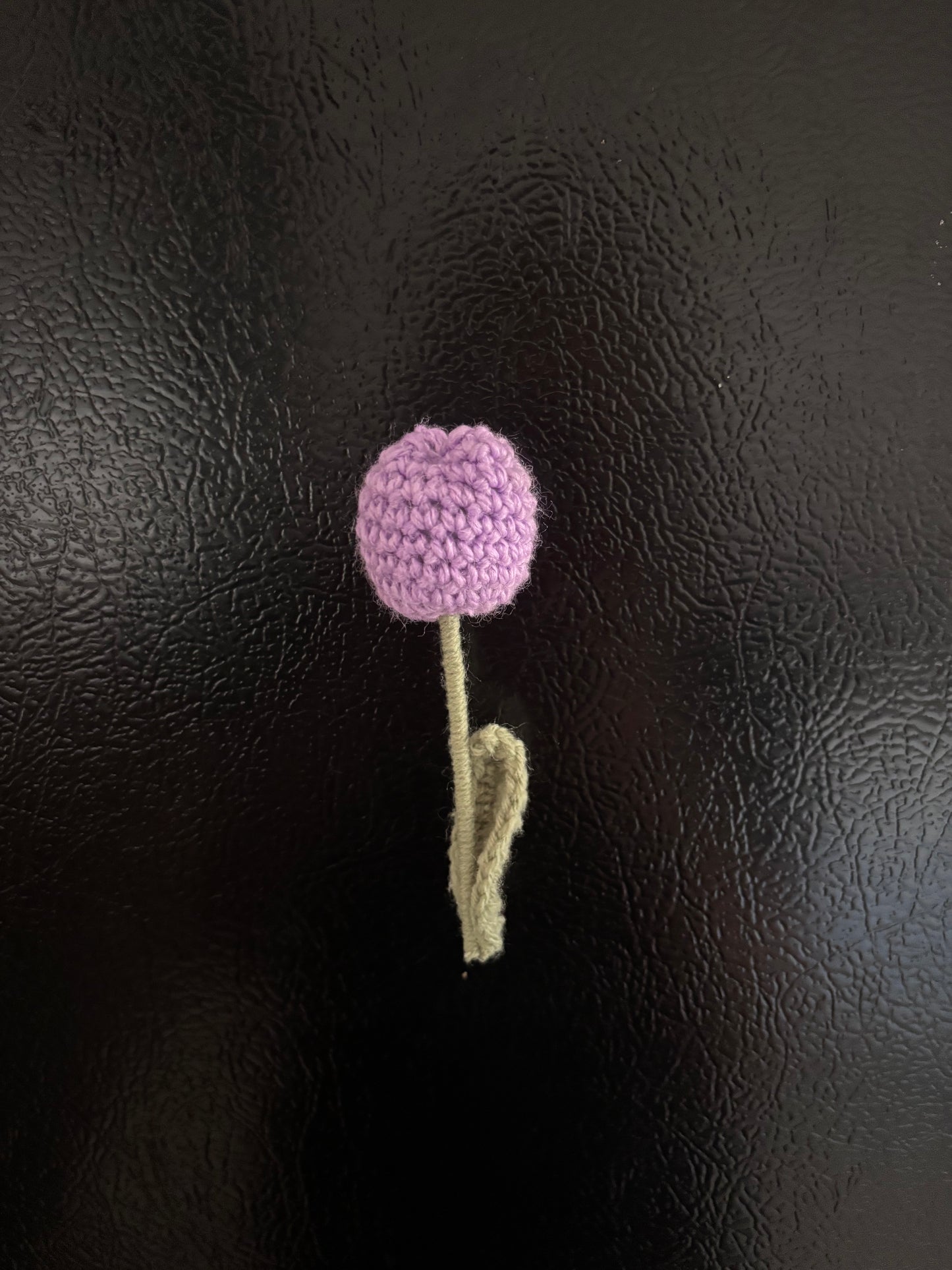 Fridge Magnets