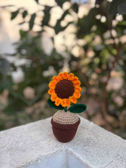 Sunflower pot