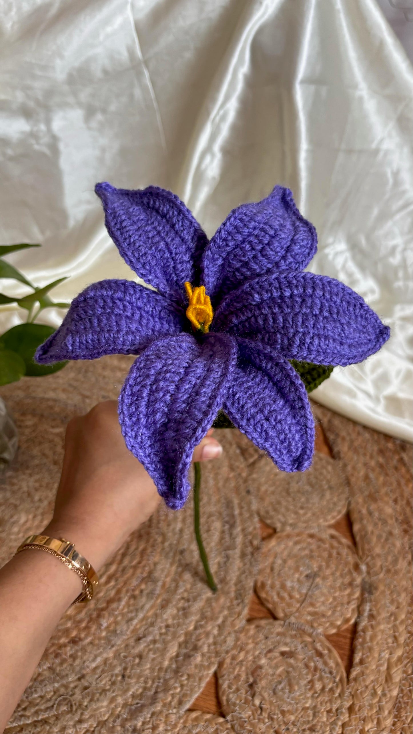 Xl lily