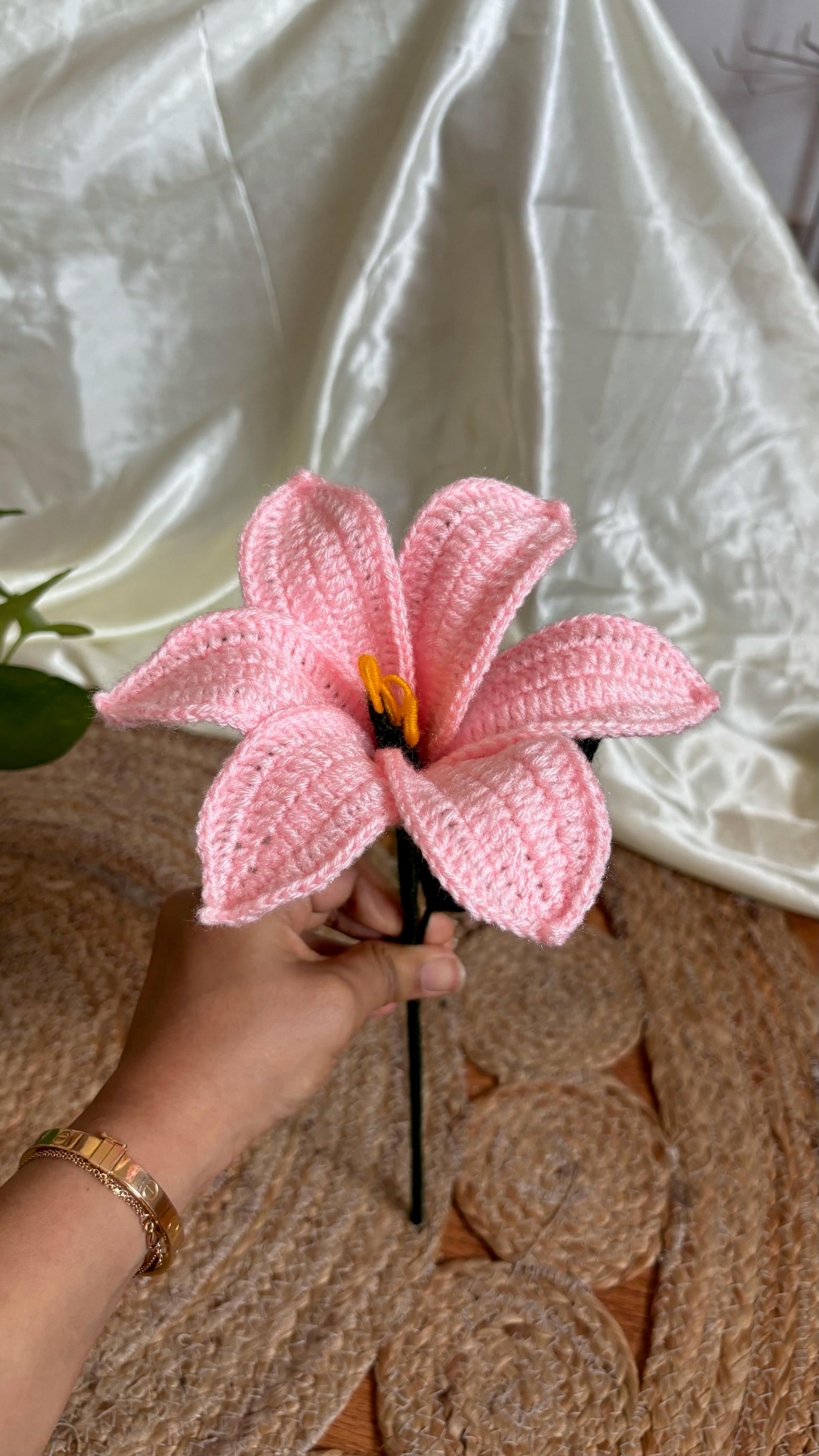 Xl lily